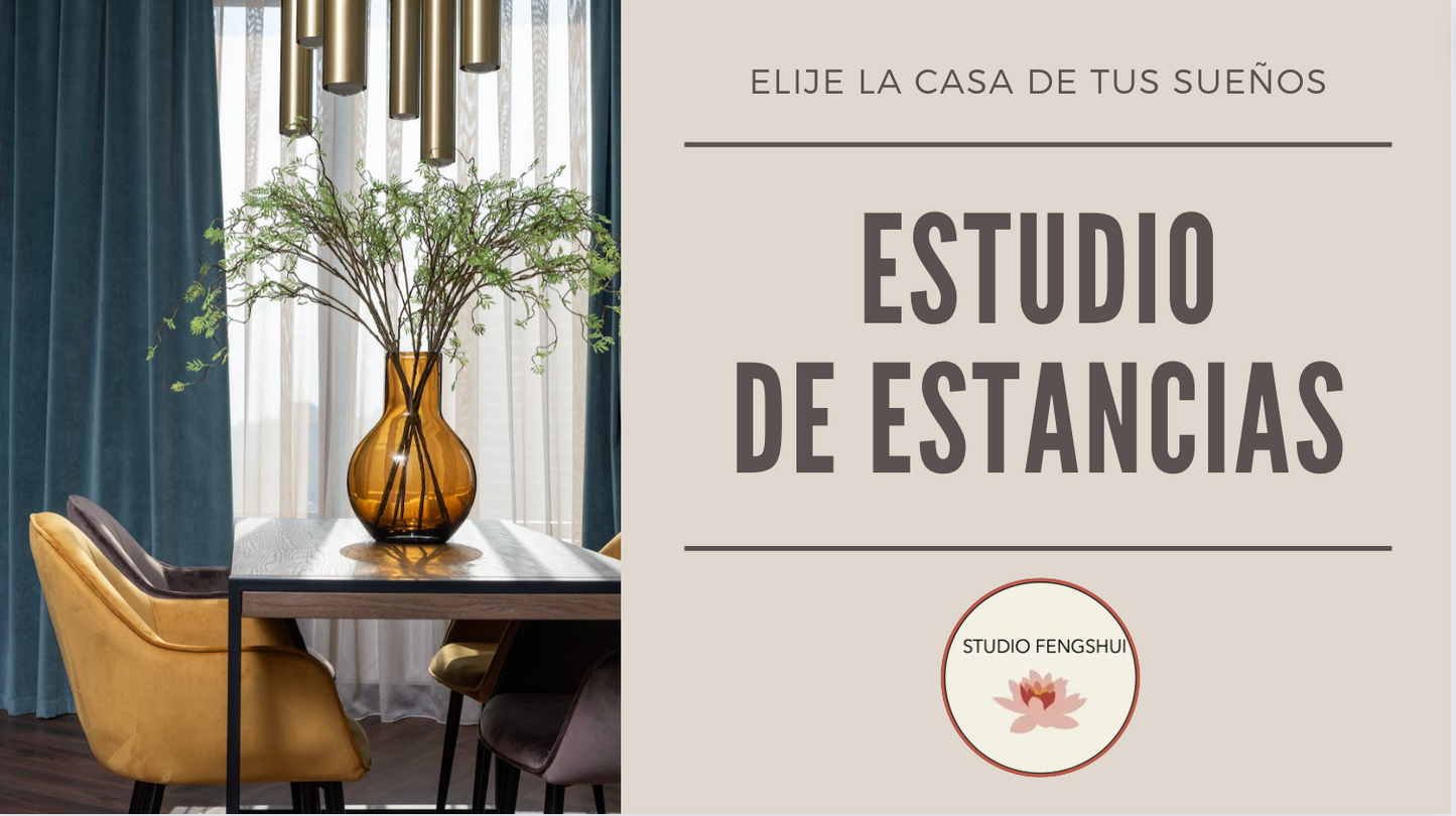 Estudio de Estancias