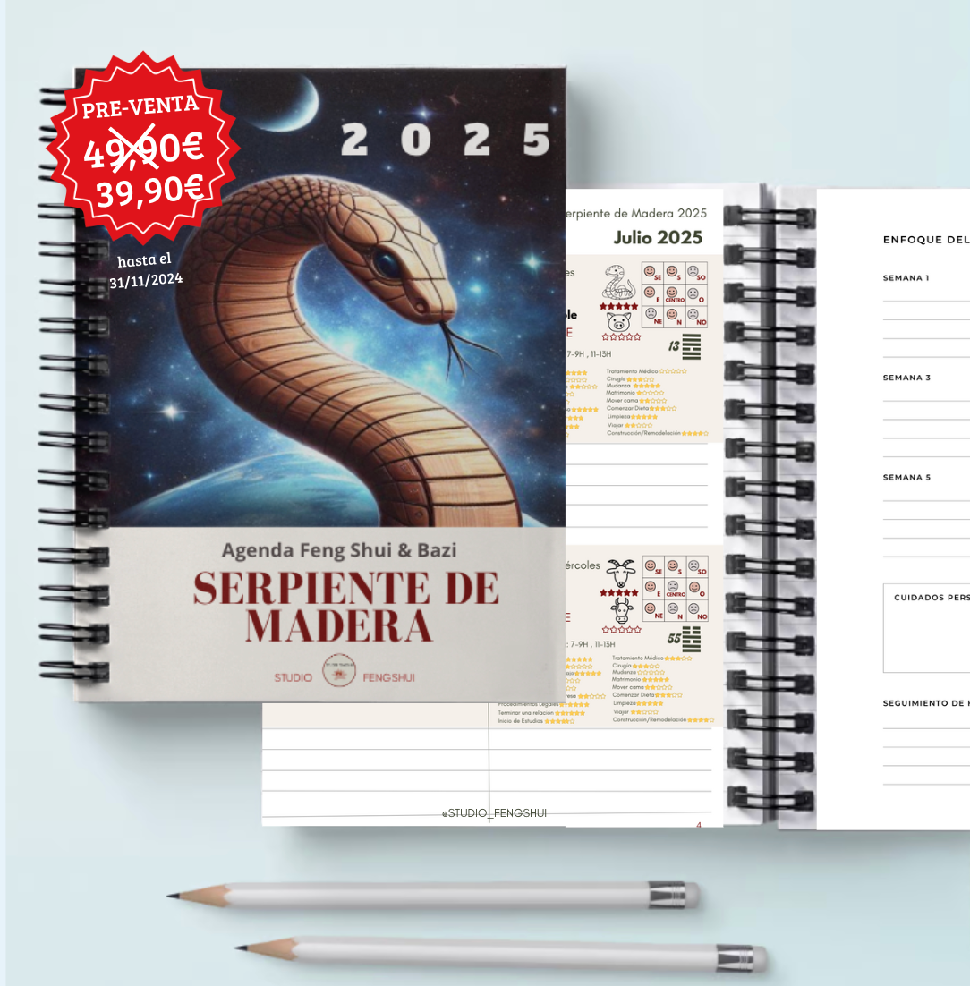 Agenda Energética 2025 Serpiente de Madera (Formato Impreso)