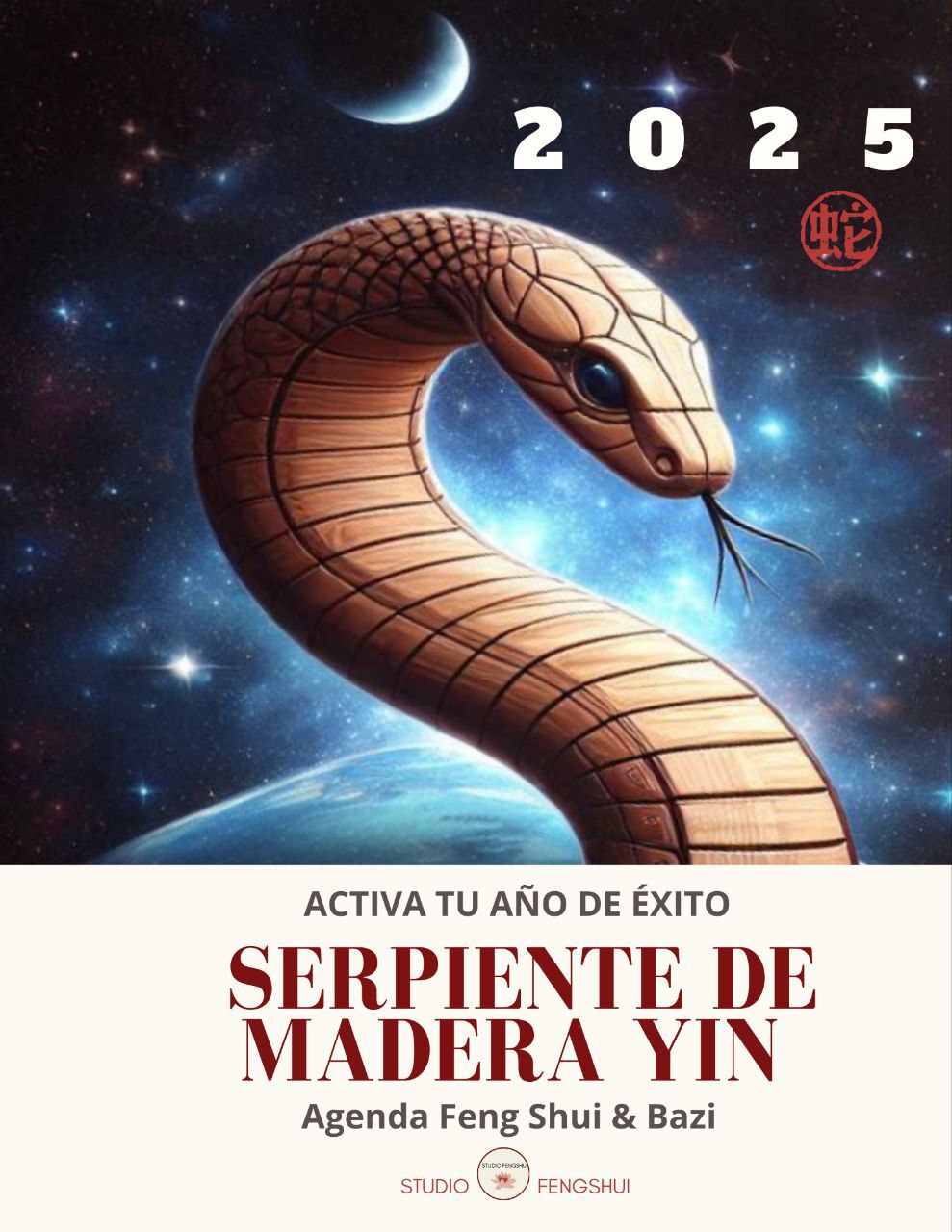 Agenda Energética 2025 Serpiente de Madera (PDF Descargable)